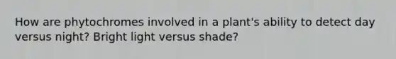 How are phytochromes involved in a plant's ability to detect day versus night? Bright light versus shade?