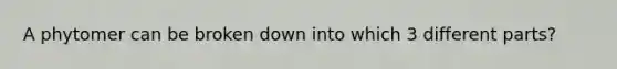 A phytomer can be broken down into which 3 different parts?