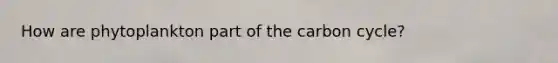 How are phytoplankton part of the carbon cycle?