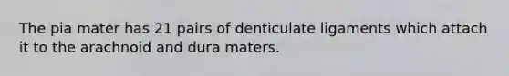 The pia mater has 21 pairs of denticulate ligaments which attach it to the arachnoid and dura maters.