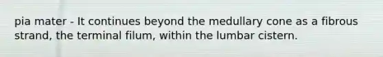 pia mater - It continues beyond the medullary cone as a fibrous strand, the terminal filum, within the lumbar cistern.