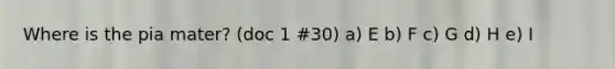 Where is the pia mater? (doc 1 #30) a) E b) F c) G d) H e) I