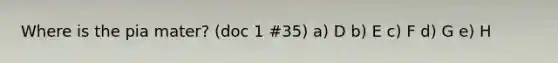 Where is the pia mater? (doc 1 #35) a) D b) E c) F d) G e) H