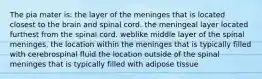 The pia mater is: the layer of the meninges that is located closest to the brain and spinal cord. the meningeal layer located furthest from the spinal cord. weblike middle layer of the spinal meninges. the location within the meninges that is typically filled with cerebrospinal fluid the location outside of the spinal meninges that is typically filled with adipose tissue