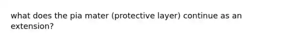 what does the pia mater (protective layer) continue as an extension?