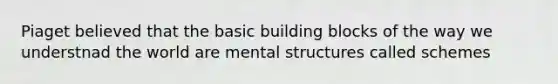 Piaget believed that the basic building blocks of the way we understnad the world are mental structures called schemes