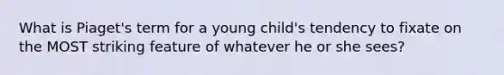 What is Piaget's term for a young child's tendency to fixate on the MOST striking feature of whatever he or she sees?