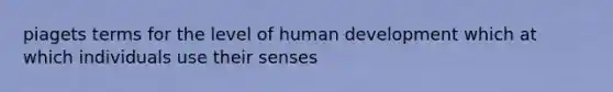 piagets terms for the level of human development which at which individuals use their senses