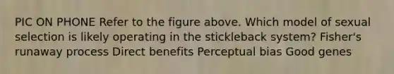 PIC ON PHONE Refer to the figure above. Which model of sexual selection is likely operating in the stickleback system? Fisher's runaway process Direct benefits Perceptual bias Good genes