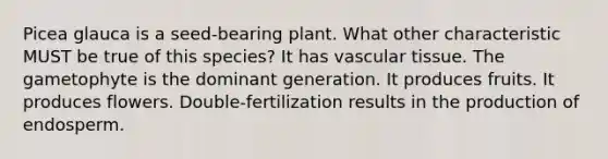 Picea glauca is a seed-bearing plant. What other characteristic MUST be true of this species? It has vascular tissue. The gametophyte is the dominant generation. It produces fruits. It produces flowers. Double-fertilization results in the production of endosperm.