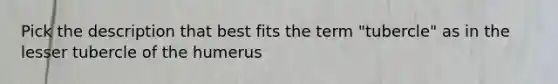 Pick the description that best fits the term "tubercle" as in the lesser tubercle of the humerus