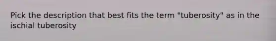 Pick the description that best fits the term "tuberosity" as in the ischial tuberosity