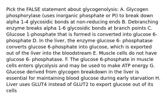 Pick the FALSE statement about glycogenolysis: A. Glycogen phosphorylase (uses inorganic phosphate or Pi) to break down alpha 1-4 glycosidic bonds at non-reducing ends B. Debranching enzyme breaks alpha 1-6 glycosidic bonds at branch points C. Glucose 1-phosphate that is formed is converted into glucose 6-phosphate D. In the liver, the enzyme glucose 6- phosphatase converts glucose 6-phosphate into glucose, which is exported out of the liver into the bloodstream E. Muscle cells do not have glucose 6- phosphatase. F. The glucose 6-phosphate in muscle cells enters glycolysis and may be used to make ATP energy G. Glucose derived from glycogen breakdown in the liver is essential for maintaining blood glucose during early starvation H. Liver uses GLUT4 instead of GLUT2 to export glucose out of its cells