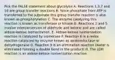 Pick the FALSE statement about glycolysis A. Reactions 1,3,7 and 10 are group transfer reactions B. Since phosphate from ATP is transferred to the substrate this group transfer reaction is also known as phosphorylation C. The enzyme catalyzing this reaction is known as transferase or kinase D. Reactions 2 and 5 involve interconversion of aldehyde and ketone and are called aldose-ketose isomerization. E. Aldose-ketose isomerization reaction is catalyzed by isomerase F. Reaction 6 is a redox reaction catalyzed by enzyme known as oxidoreductase or dehydrogenase G. Reaction 9 is an elimination reaction (water is eliminated forming a double bond in the product) H. The LDH reaction is an aldose-ketose isomerization reaction