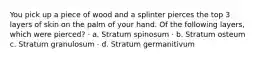 You pick up a piece of wood and a splinter pierces the top 3 layers of skin on the palm of your hand. Of the following layers, which were pierced? · a. Stratum spinosum · b. Stratum osteum c. Stratum granulosum · d. Stratum germanitivum