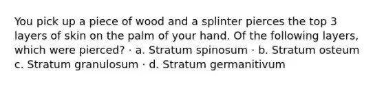 You pick up a piece of wood and a splinter pierces the top 3 layers of skin on the palm of your hand. Of the following layers, which were pierced? · a. Stratum spinosum · b. Stratum osteum c. Stratum granulosum · d. Stratum germanitivum