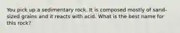 You pick up a sedimentary rock. It is composed mostly of sand-sized grains and it reacts with acid. What is the best name for this rock?