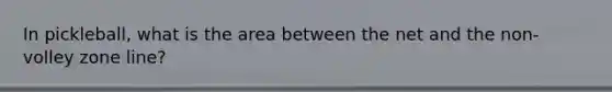 In pickleball, what is the area between the net and the non-volley zone line?