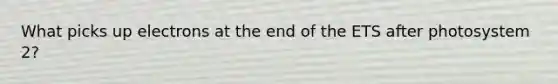 What picks up electrons at the end of the ETS after photosystem 2?
