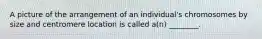 A picture of the arrangement of an individual's chromosomes by size and centromere location is called a(n) ________.