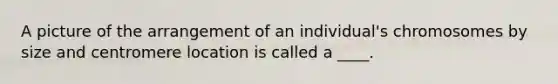 A picture of the arrangement of an individual's chromosomes by size and centromere location is called a ____.