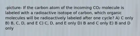 -picture- If the carbon atom of the incoming CO₂ molecule is labeled with a radioactive isotope of carbon, which organic molecules will be radioactively labeled after one cycle? A) C only B) B, C, D, and E C) C, D, and E only D) B and C only E) B and D only