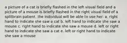 a picture of a cat is briefly flashed in the left visual field and a picture of a mouse is briefly flashed in the right visual field of a splitbrain patient. the individual will be able to use her: a. right hand to indicate she saw a cat b. left hand to indicate she saw a mouse c. right hand to indicate she saw a mouse d. left or right hand to indicate she saw a cat e. left or right hand to indicate she saw a mouse