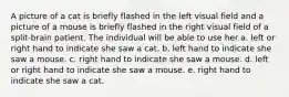 A picture of a cat is briefly flashed in the left visual field and a picture of a mouse is briefly flashed in the right visual field of a split-brain patient. The individual will be able to use her a. left or right hand to indicate she saw a cat. b. left hand to indicate she saw a mouse. c. right hand to indicate she saw a mouse. d. left or right hand to indicate she saw a mouse. e. right hand to indicate she saw a cat.