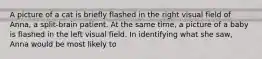 A picture of a cat is briefly flashed in the right visual field of Anna, a split-brain patient. At the same time, a picture of a baby is flashed in the left visual field. In identifying what she saw, Anna would be most likely to