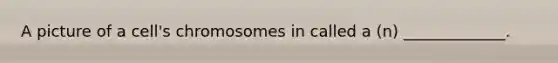 A picture of a cell's chromosomes in called a (n) _____________.