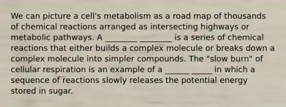 We can picture a cell's metabolism as a road map of thousands of chemical reactions arranged as intersecting highways or metabolic pathways. A ________ ________ is a series of chemical reactions that either builds a complex molecule or breaks down a complex molecule into simpler compounds. The "slow burn" of cellular respiration is an example of a ______ _____ in which a sequence of reactions slowly releases the potential energy stored in sugar.