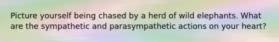 Picture yourself being chased by a herd of wild elephants. What are the sympathetic and parasympathetic actions on your heart?