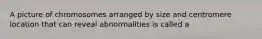 A picture of chromosomes arranged by size and centromere location that can reveal abnormalities is called a