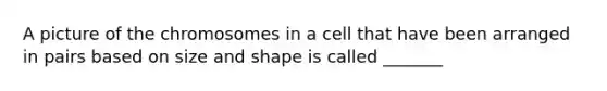 A picture of the chromosomes in a cell that have been arranged in pairs based on size and shape is called _______