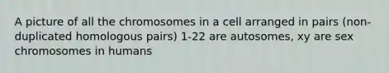 A picture of all the chromosomes in a cell arranged in pairs (non-duplicated homologous pairs) 1-22 are autosomes, xy are sex chromosomes in humans