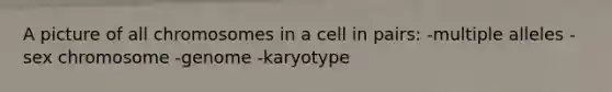 A picture of all chromosomes in a cell in pairs: -multiple alleles -sex chromosome -genome -karyotype