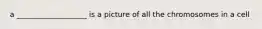 a ___________________ is a picture of all the chromosomes in a cell