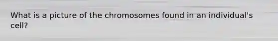 What is a picture of the chromosomes found in an individual's cell?