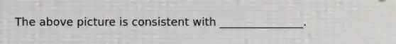 The above picture is consistent with _______________.