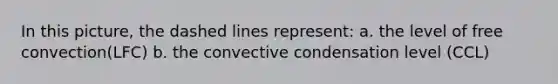 In this picture, the dashed lines represent: a. the level of free convection(LFC) b. the convective condensation level (CCL)
