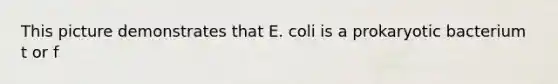 This picture demonstrates that E. coli is a prokaryotic bacterium t or f