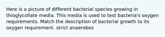 Here is a picture of different bacterial species growing in thioglycollate media. This media is used to test bacteria's oxygen requirements. Match the description of bacterial growth to its oxygen requirement. strict anaerobes