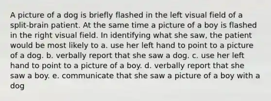 A picture of a dog is briefly flashed in the left visual field of a split-brain patient. At the same time a picture of a boy is flashed in the right visual field. In identifying what she saw, the patient would be most likely to a. use her left hand to point to a picture of a dog. b. verbally report that she saw a dog. c. use her left hand to point to a picture of a boy. d. verbally report that she saw a boy. e. communicate that she saw a picture of a boy with a dog