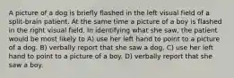 A picture of a dog is briefly flashed in the left visual field of a split-brain patient. At the same time a picture of a boy is flashed in the right visual field. In identifying what she saw, the patient would be most likely to A) use her left hand to point to a picture of a dog. B) verbally report that she saw a dog. C) use her left hand to point to a picture of a boy. D) verbally report that she saw a boy.