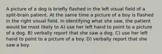 A picture of a dog is briefly flashed in the left visual field of a split-brain patient. At the same time a picture of a boy is flashed in the right visual field. In identifying what she saw, the patient would be most likely to A) use her left hand to point to a picture of a dog. B) verbally report that she saw a dog. C) use her left hand to point to a picture of a boy. D) verbally report that she saw a boy.