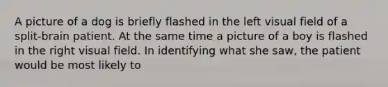 A picture of a dog is briefly flashed in the left visual field of a split-brain patient. At the same time a picture of a boy is flashed in the right visual field. In identifying what she saw, the patient would be most likely to