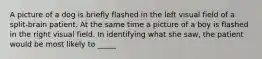 A picture of a dog is briefly flashed in the left visual field of a split-brain patient. At the same time a picture of a boy is flashed in the right visual field. In identifying what she saw, the patient would be most likely to _____