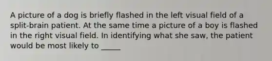 A picture of a dog is briefly flashed in the left visual field of a split-brain patient. At the same time a picture of a boy is flashed in the right visual field. In identifying what she saw, the patient would be most likely to _____