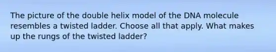 The picture of the double helix model of the DNA molecule resembles a twisted ladder. Choose all that apply. What makes up the rungs of the twisted ladder?