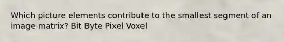 Which picture elements contribute to the smallest segment of an image matrix? Bit Byte Pixel Voxel